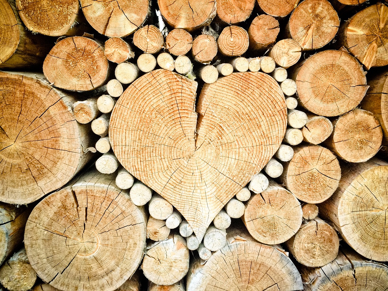 heart, wood, logs