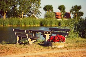picnic table, outdoor furniture, resting place